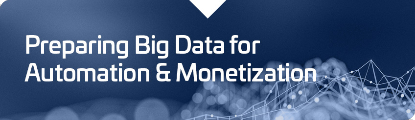 Preparing Big Data for Automation and Monetization